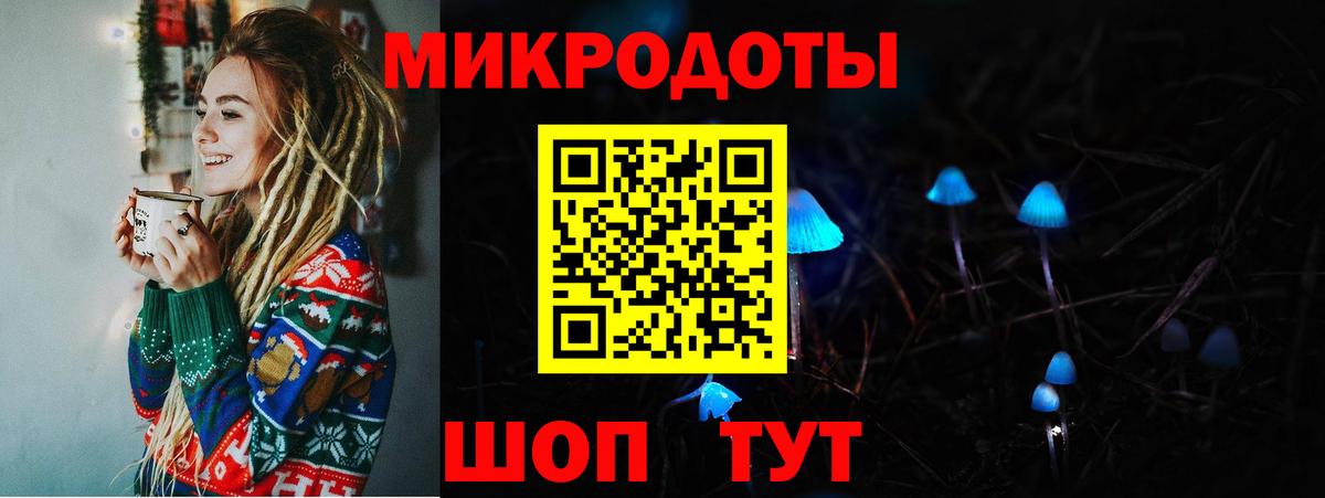 Псилоцибиновые грибы Psilocybe  Вход с VPN  Псилоцибиновые грибы Magic Shrooms  Губаха 
